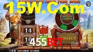 Premium Interface 455Bet